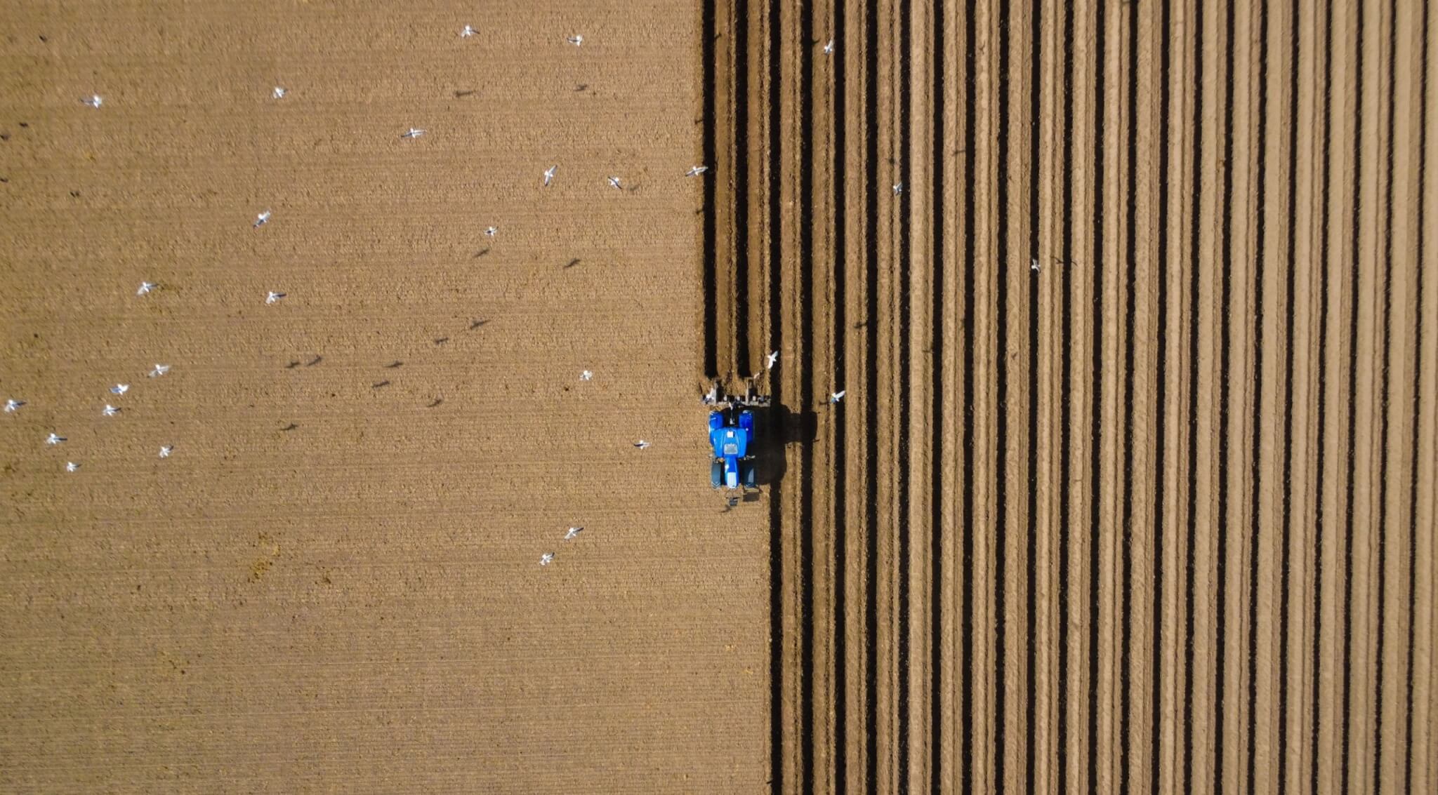An aierial view of a tractor ploughing a filed in straight lines - on of the exhibits in the show at the university